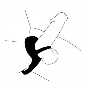 11921-thickbox_default