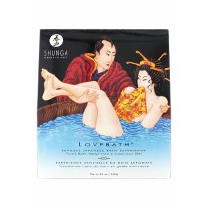 15221-thickbox_default